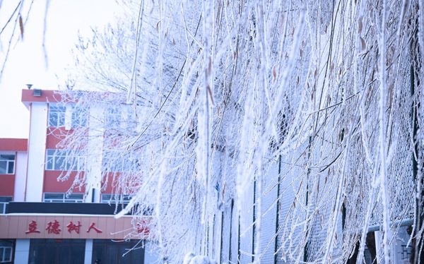 雪后的校園